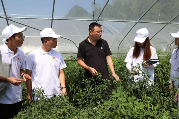 实践团参观蔬菜大棚。外围买球的app十大平台供图