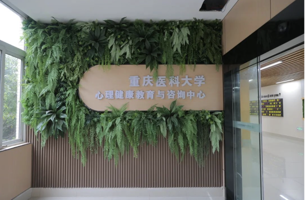 重庆医科大学心理健康教育与咨询中心。受访单位供图 重庆医科大学心理健康教育与咨询中心。受访单位供图
